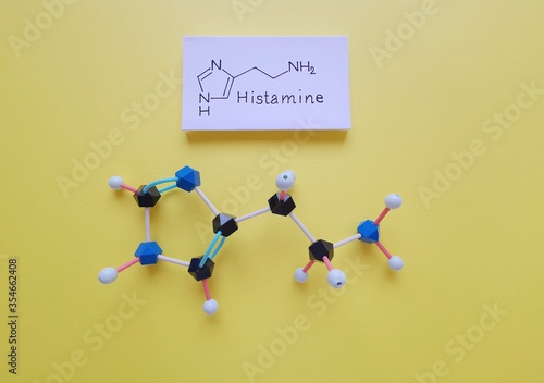 Molecular structure model and structural chemical formula of histamine molecule. Histamine is an organic nitrogenous compound involved in local immune responses and acting as a neurotransmitter.