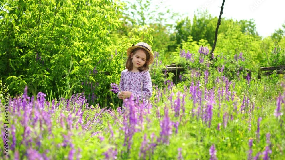 little girl in hat picking a bouquet of wildflowers in a meadow. little girl in hat picking a bouquet of wildflowers in a meadow.