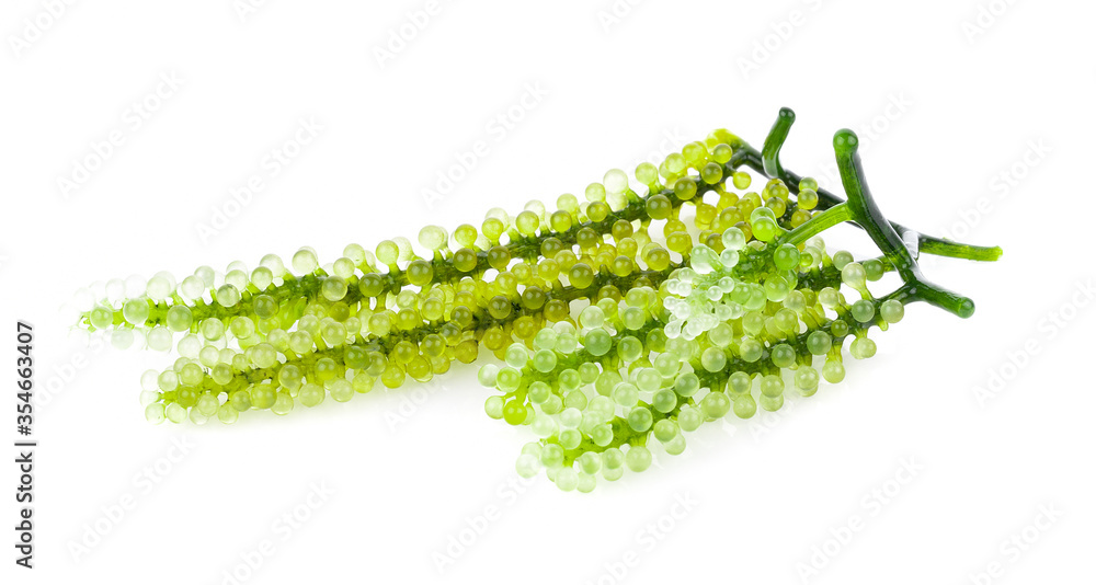 Naklejka premium Sea grapes ( green caviar ) seaweed on white background