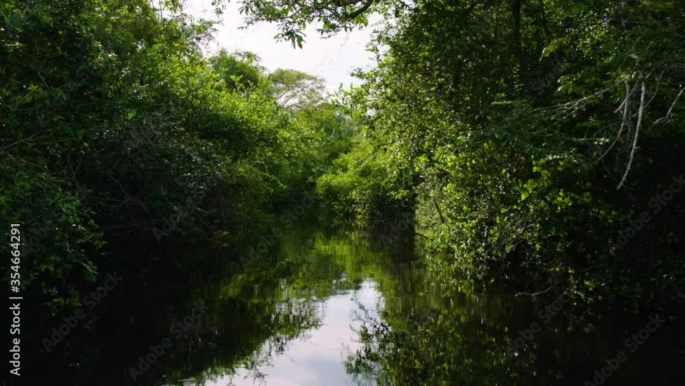 The camera moves down a river that passes by the Lamanai Mayan ruins of Belize. The camera moves down a river that passes by the Lamanai Mayan ruins of Belize.