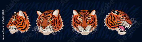 Red tiger head roar wild cat in colorful jungle. Tiger stripes background drawing. Hand drawn vector character art illustration