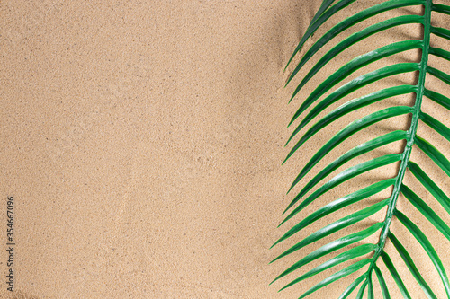 Summer vacation concept. Green palm leaves on sand background with a copy of space. Summer background.