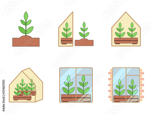 seedling icon set on white background