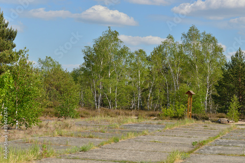 In der Lieberoser Heide auf dem ehemaligen Truppenübungsplatz photo