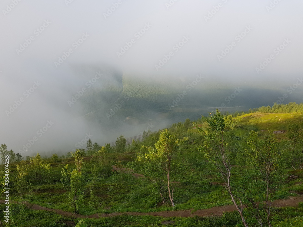 dense fog over green mountain valley dense fog over green mountain valley
