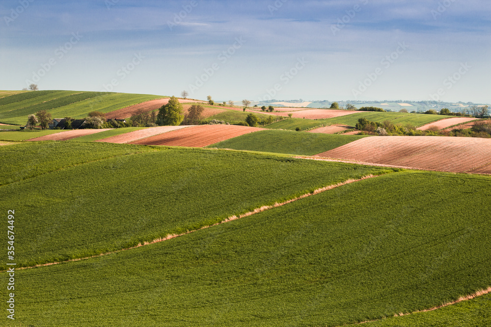 Countryside landscape with fields and trees
