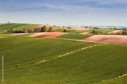 Countryside landscape with fields and trees