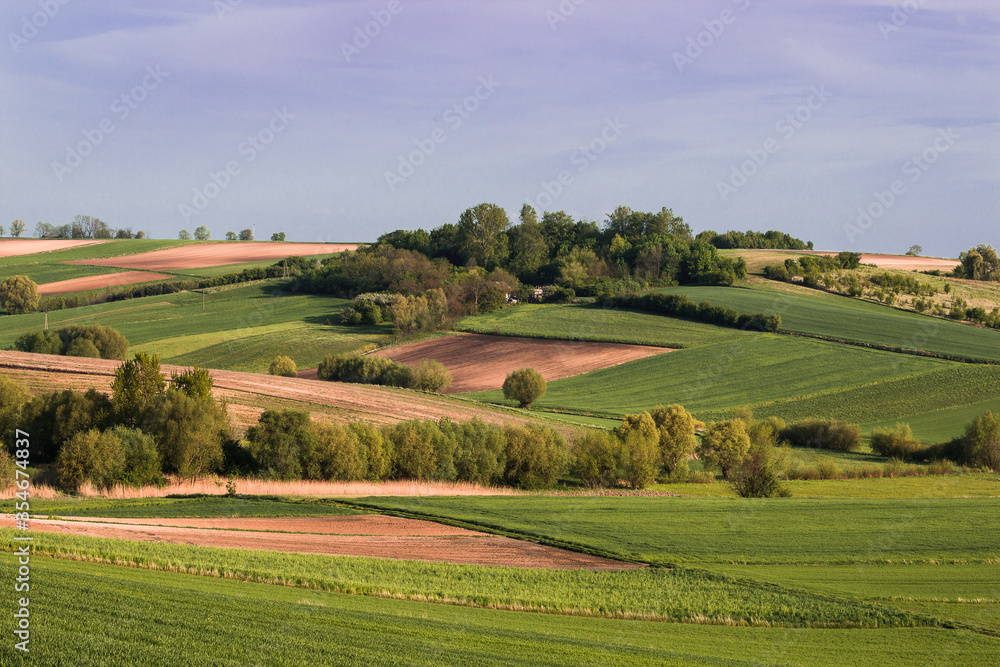 Countryside landscape with fields and trees