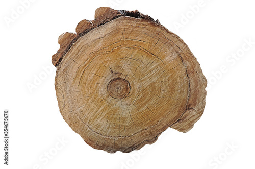 Old wooden oak tree cut surface. Detailed warm dark brown and orange tones of a felled tree trunk or stump. Rough organic texture of tree rings, isolated on white background
