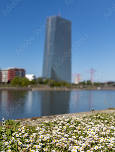 Blumen vor EZB
