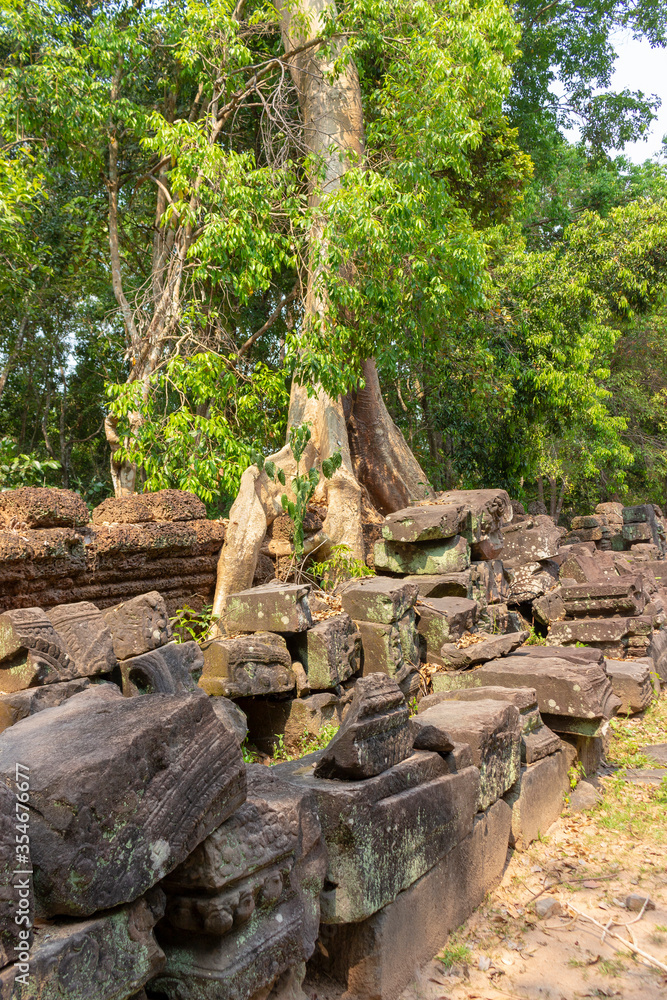 Ancient stone ruins of a destroyed temple in the sunny jungle of southeast asia in Angkor Wat complex, Cambodia. 