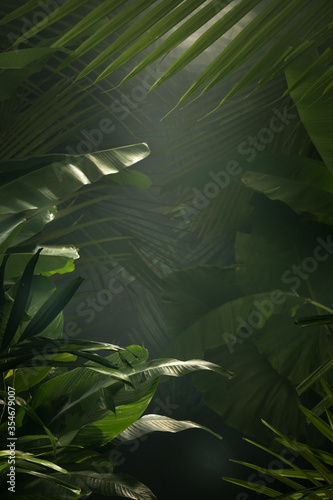 fragment view of nice mist  green tropical jungle photo