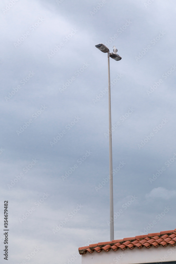 roof with streetlight, which in the highest part has a seagull roof with streetlight, which in the highest part has a seagull