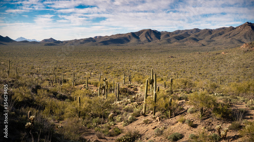 Mountain view across the Sonoran Desert