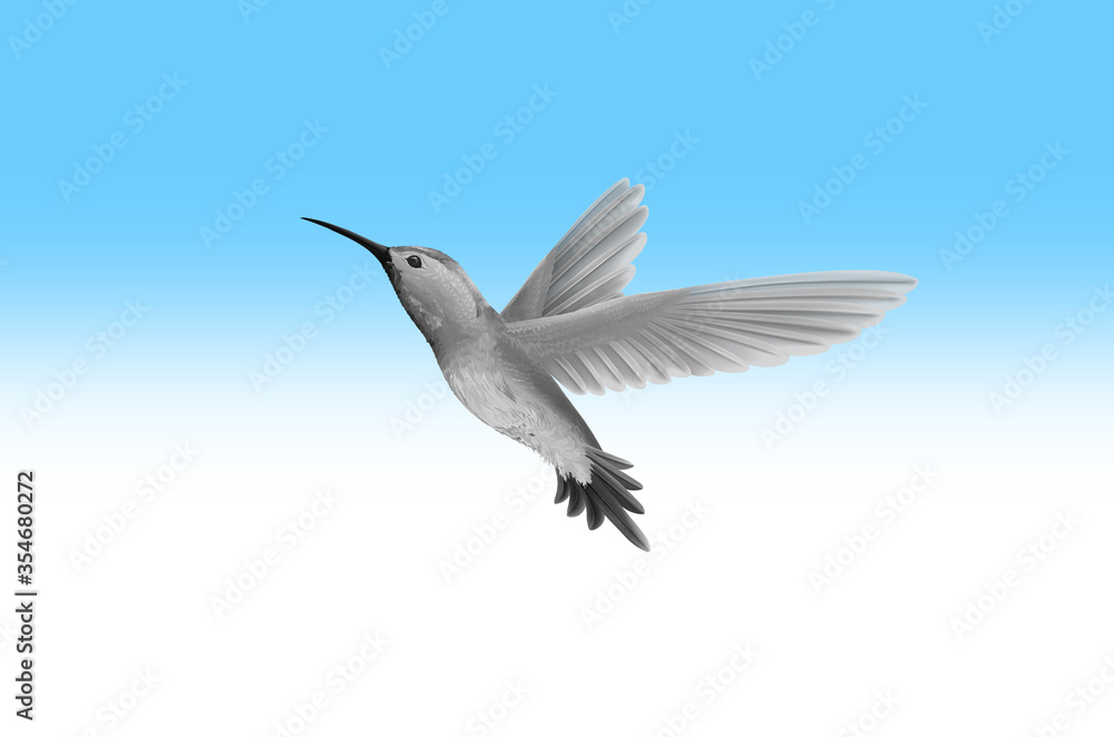 flying bird with colorful background flying bird with colorful background