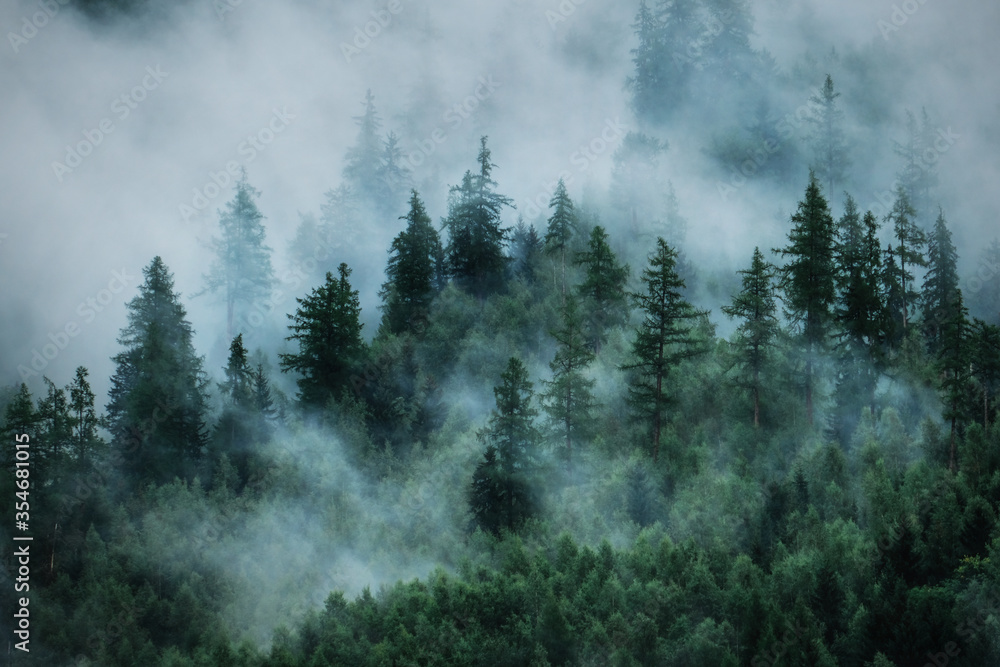 View of foggy mountains. Forested mountain slope in low lying cloud