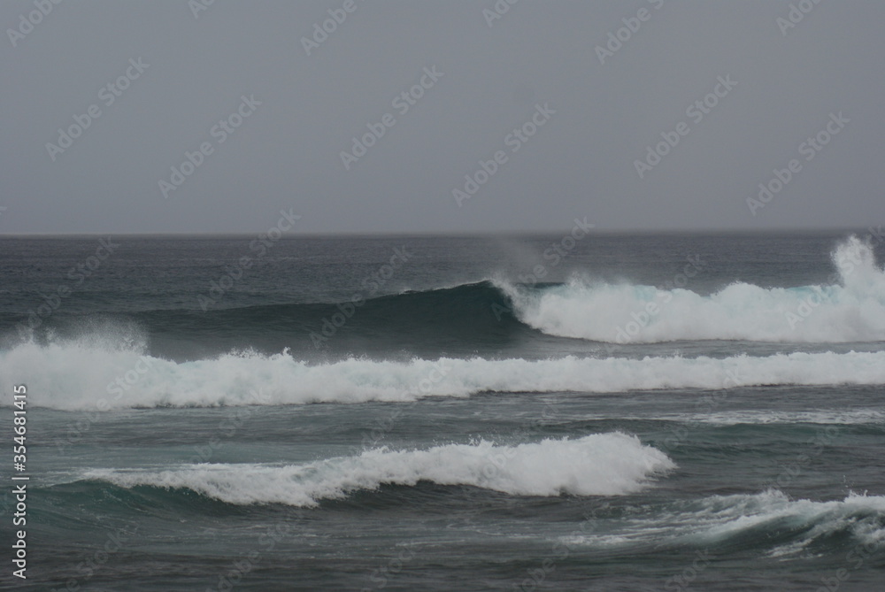 Fototapeta premium nice right hander wave at a secret spot in guam