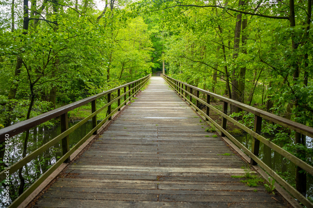 Wooden bridge in park near Konopiste castle, Czech republic