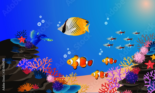 熱帯魚