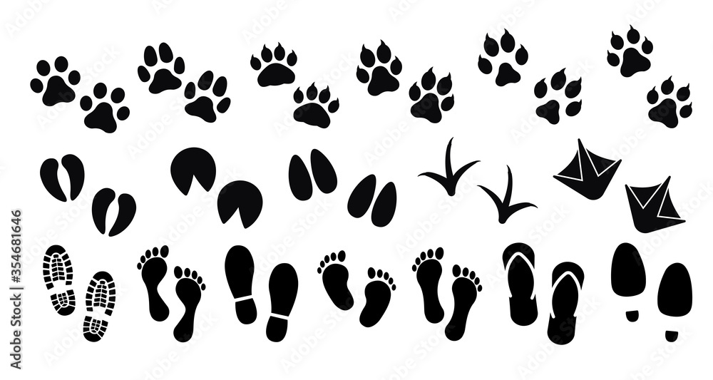 Obraz premium Dog ,cat and human paw print vector icon