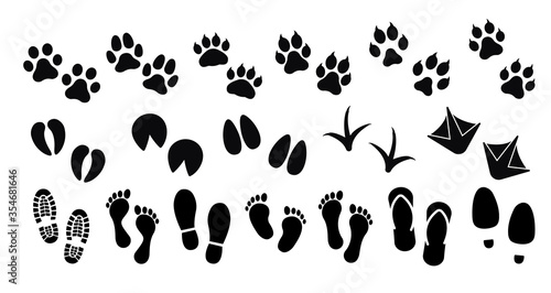 Dog  cat and human paw print vector icon
