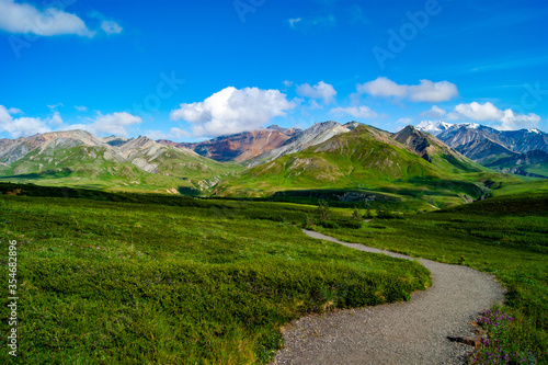 Denali Mountain Range