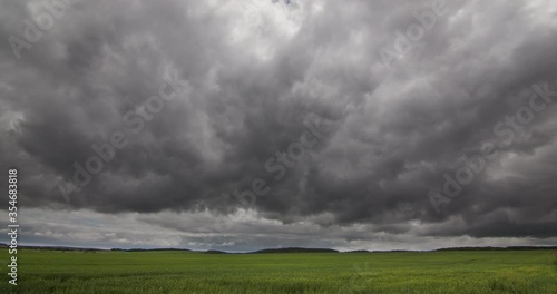 Wallpaper Mural Storm clouds in a green timelapse field Torontodigital.ca