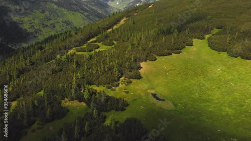 Aerial drone flight over beautiful green meadow in the mountains showing the wilderness of nature and clouds casting shadows photo