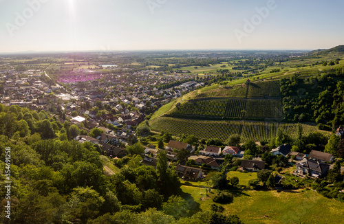 Fototapeta Naklejka Na Ścianę i Meble -  Aerial / Drone Panorama of Vineyard between Heppenheim and Bensheim at the Bergstraße in Hessen during sunset with a cloudless sky