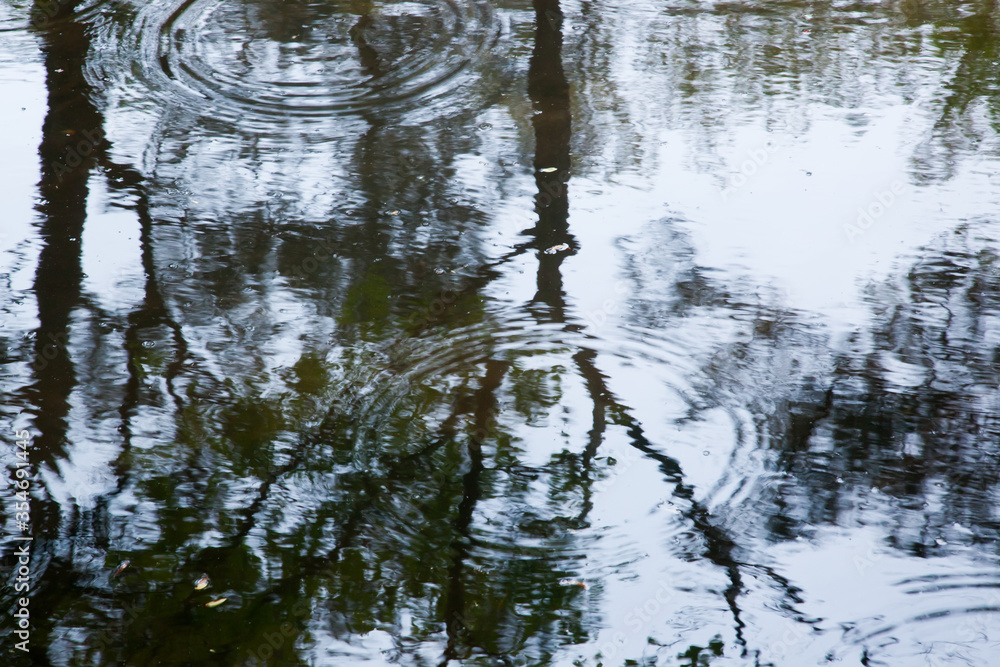 Still water and drips Still water and drips