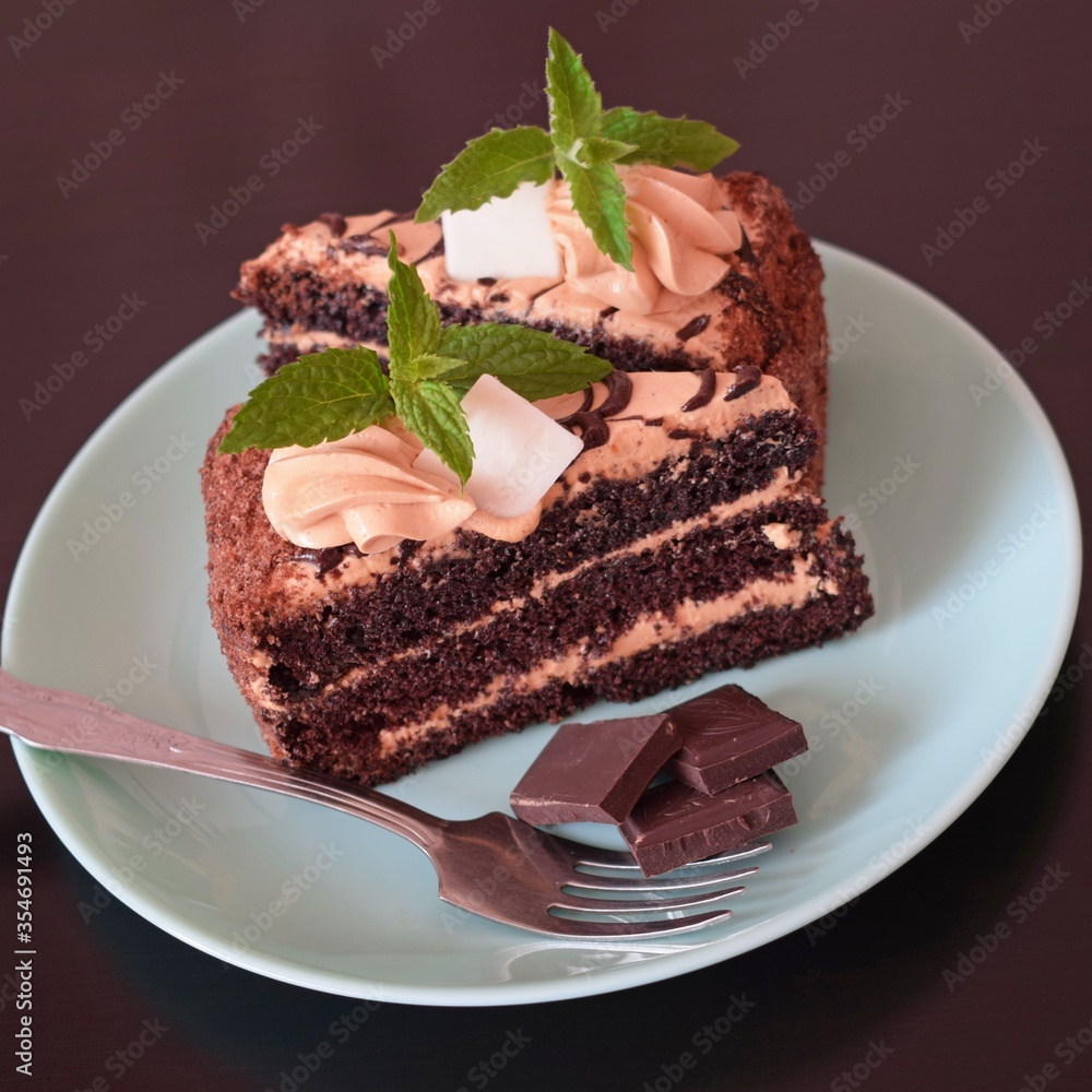 Delicious chocolate cake with cream filling and a sprig of mint on a plate. Delicious chocolate cake with cream filling and a sprig of mint on a plate.