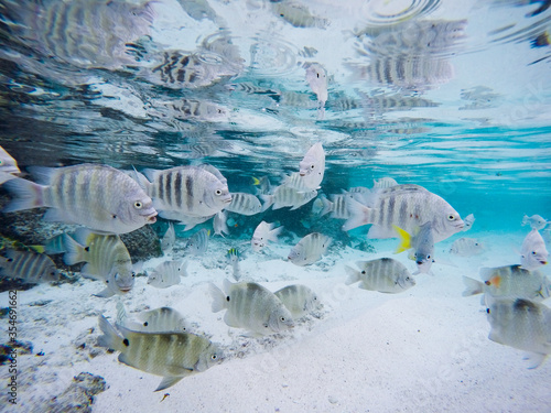 Schnorcheln auf La Digue auf den Seychellen