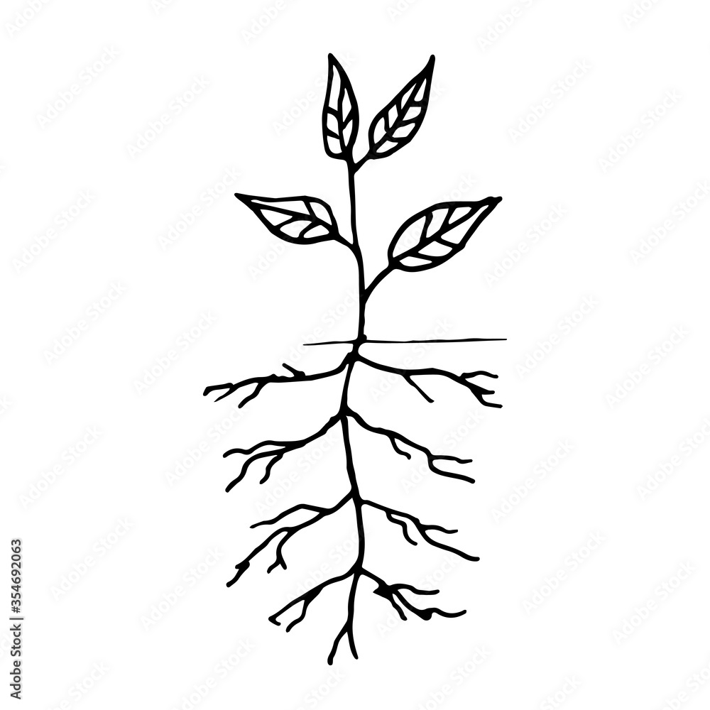 Seedlings of vegetable plants in the ground. A hand drawn gardening elements in the Doodle style. Isolated object on a white background.House decoration.Vector illustration. Seedlings of vegetable plants in the ground. A hand drawn gardening elements in the Doodle style. Isolated object on a white background.House decoration.Vector illustration.