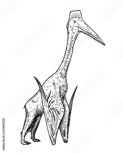 Drawing of dinosaur - hand sketch of hatzegopteryx, black and white illustration
