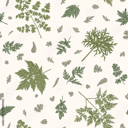 Seamless pattern with leaves and herbs. Vector botanical illustration. Greens colors. Vintage style.