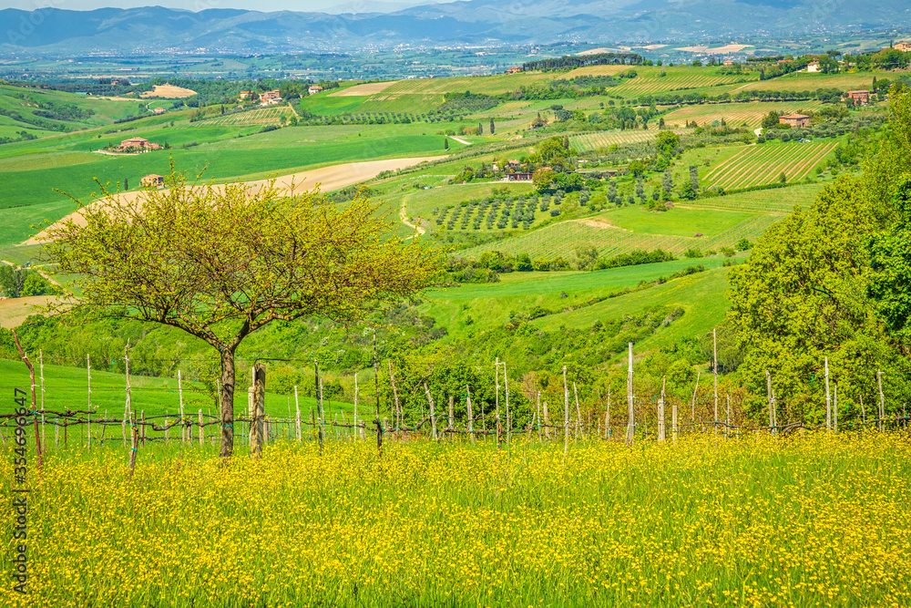 Landscape in Val d'Orcia valley of Tuscany in spring time, Italy.