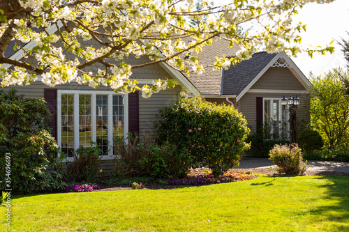 Family home in spring with cherry tree blossoming in the foreground