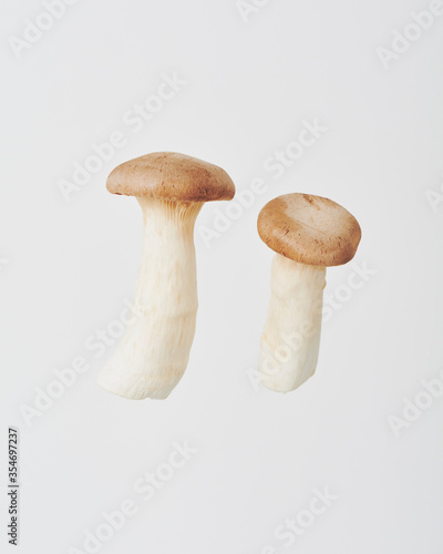 king trumpet mushroom