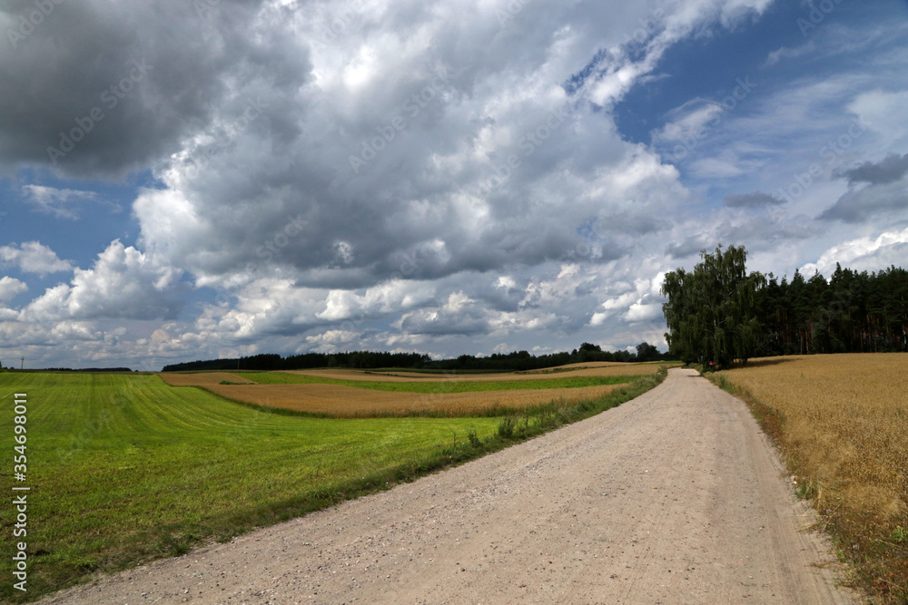 Country road in the field in Bory Tucholskie National Park, Poland