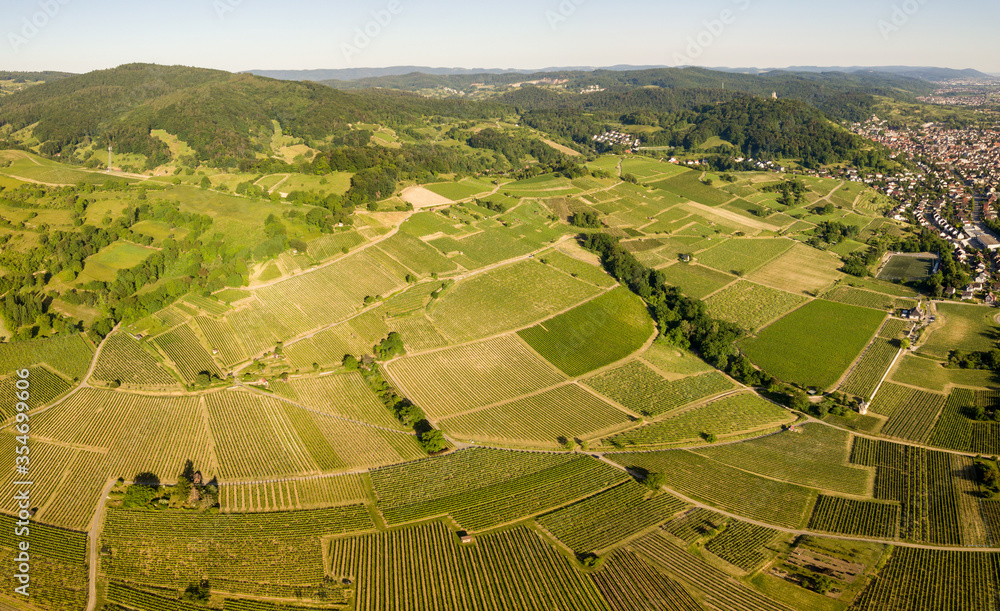 Aerial / Drone Panorama of Vineyard between Heppenheim and Bensheim at the Bergstraße in Hessen during sunset with a cloudless sky