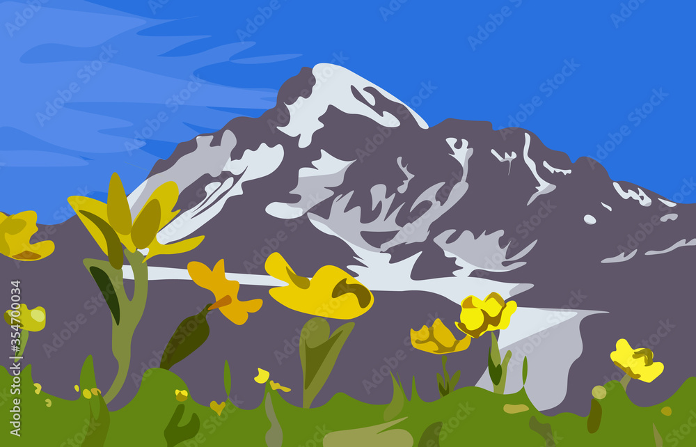 Fototapeta premium Beautiful Kazbek mountain with yellow flowers in the foreground. Vector illustration.