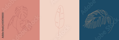 Tropic leaves creative illustration. Minimal line art style icons. Beauty and fashion concept. Eps10 vector.