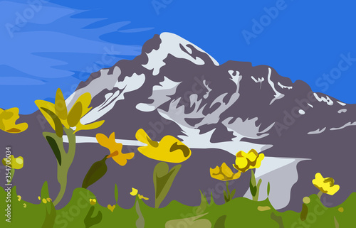 Beautiful Kazbek mountain with yellow flowers in the foreground. Vector illustration.