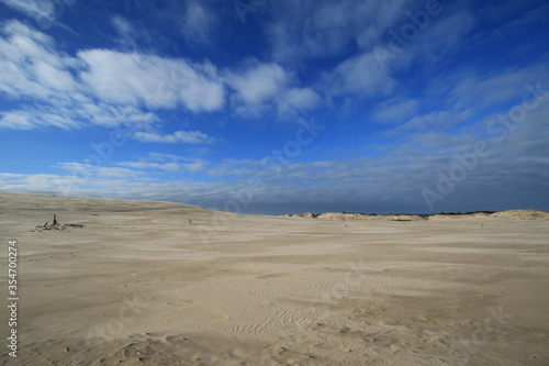 Sand dunes in Slowinski National Park near Baltic sea, Poland