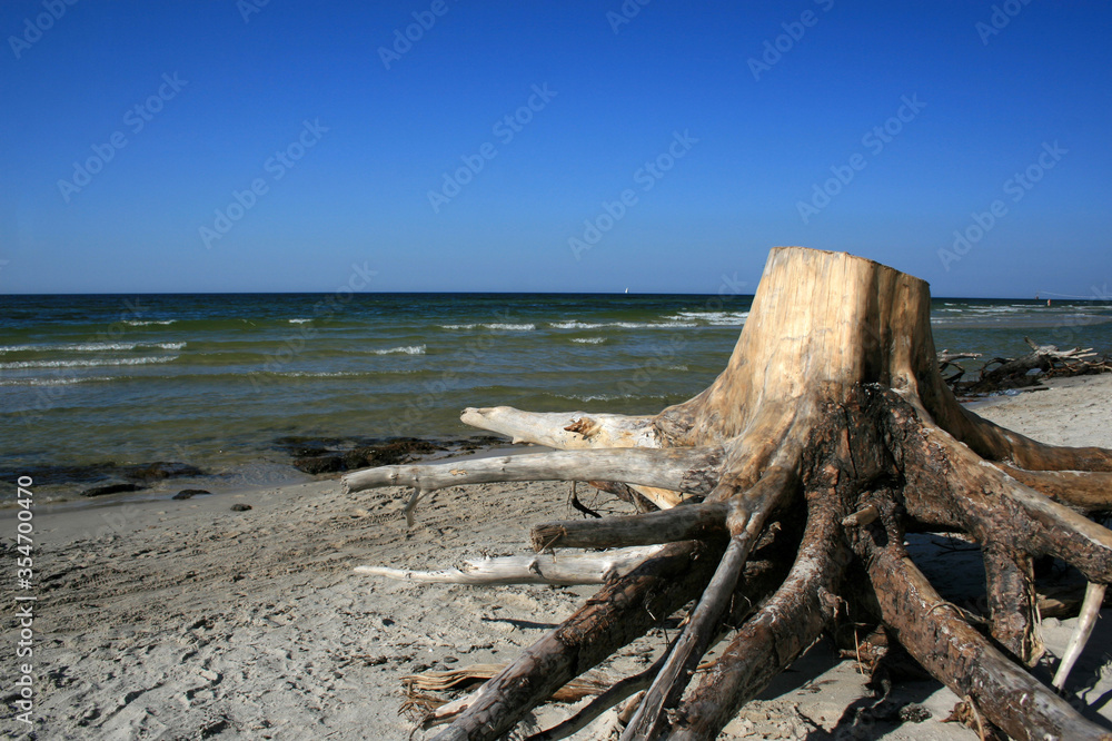 Landscape of beach in Ustka village, Baltic sea, Poland 