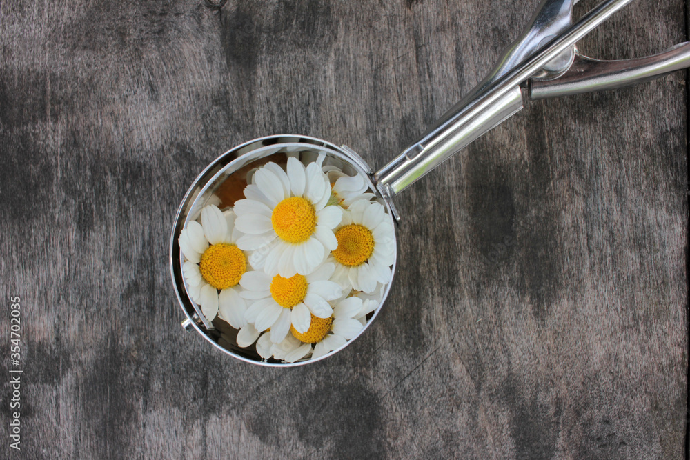 Ice cream metal scoop or spoon with edible chamomile flowers on a rustic wooden background with copy space
Ice cream metal scoop or spoon with edible chamomile flowers on a rustic wooden background with copy space
