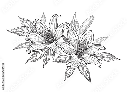 Hand Drawn Bunch with Lily Flowers