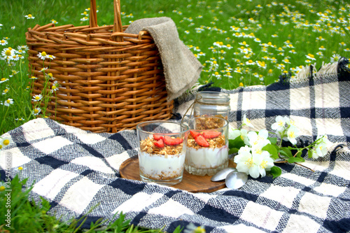 Picnic in the Park on the green grass with berry, granola. Picnic basket and blanket. Summer holiday