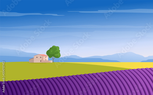 Provence landscape. Rural countryside in spring or summer. Lavender field, mountains and houses. Vector illustration