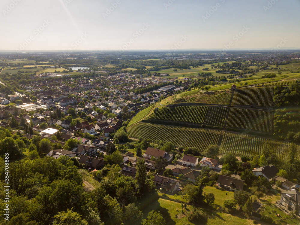 Aerial / Drone shot of Vineyard between Heppenheim and Bensheim at the Bergstraße in Hessen in bright sunlight on a cloudless day